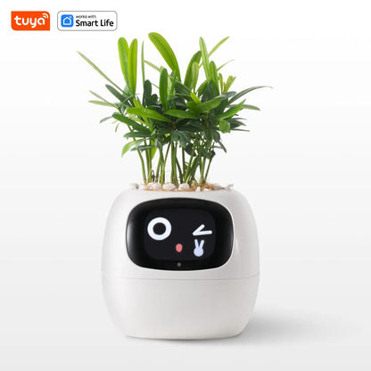 Ivy Smart Planter
