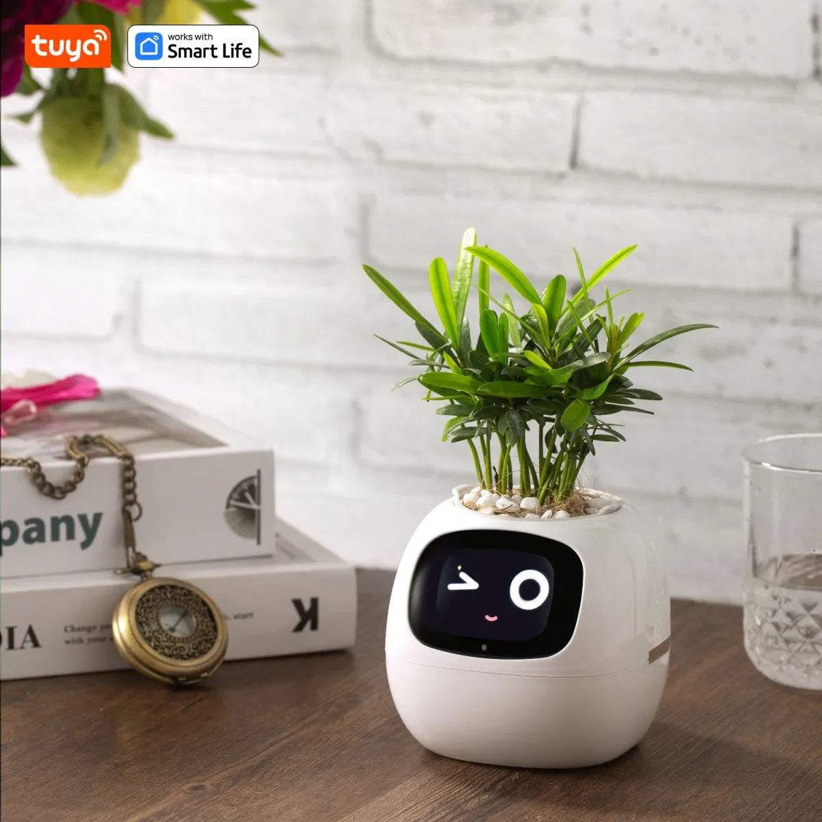 Ivy Smart Planter